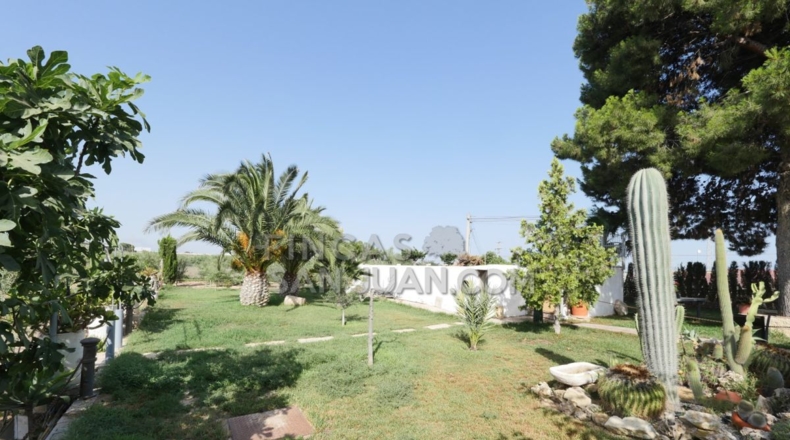 Alicante - San Vicente del Raspeig - 4500m2