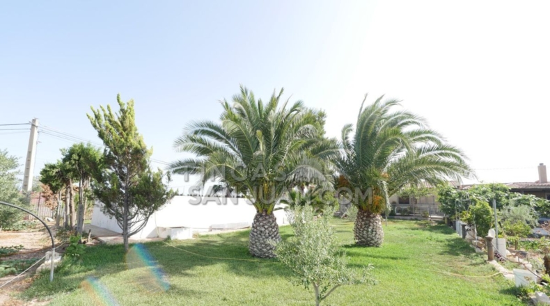Alicante - San Vicente del Raspeig - 4500m2