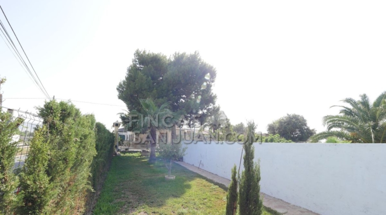 Alicante - San Vicente del Raspeig - 4500m2