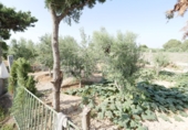 Finca rústica en venda a Sant Vicent del Raspeig ref.: TR82101 foto