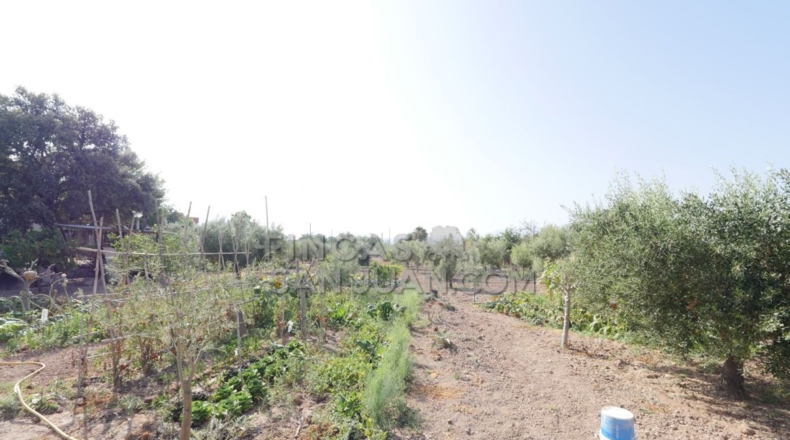 Alicante - San Vicente del Raspeig - 4500m2
