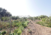Finca rústica en venda a Sant Vicent del Raspeig ref.: TR82101 foto