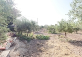 Finca rústica en venda a Sant Vicent del Raspeig ref.: TR82101 foto