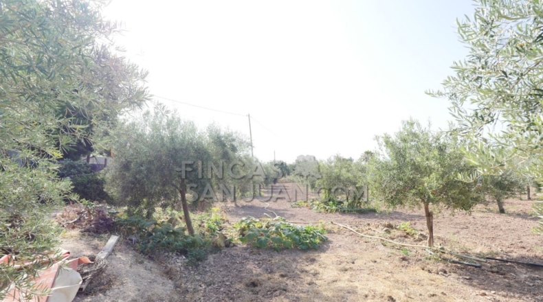 Alicante - San Vicente del Raspeig - 4500m2