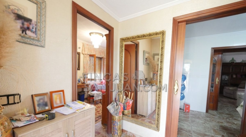 Alicante - San Vicente del Raspeig - 4500m2