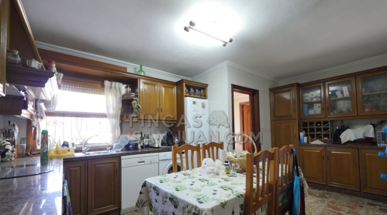 Alicante - San Vicente del Raspeig - 4500m2