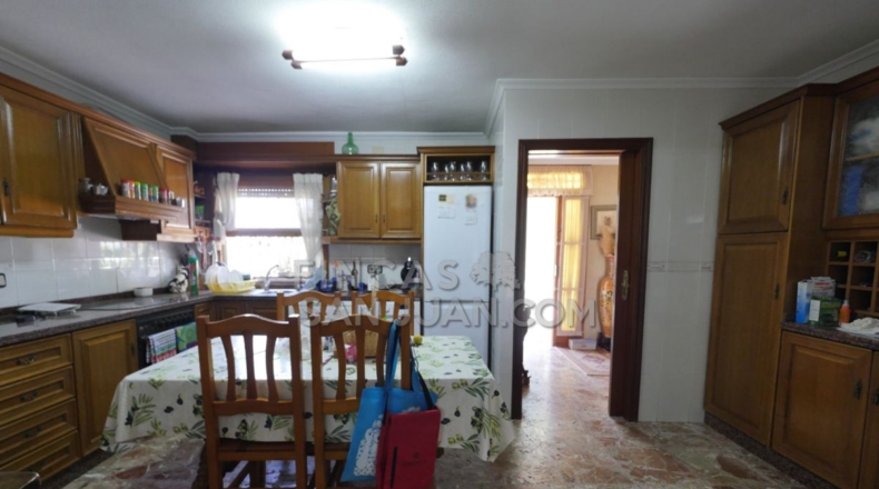 Alicante - San Vicente del Raspeig - 4500m2