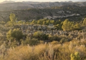 Terreny no urbanitzable en venda a Elx ref.: TR98020 foto