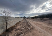 Rural estate for sale in Biar ref: TR202639 photo
