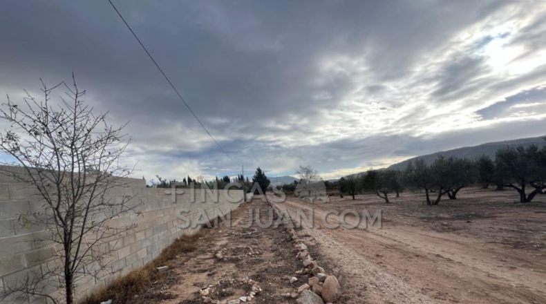 Alicante - Biar - 10275m2