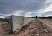 Rural estate for sale in Biar ref: TR202639 photo