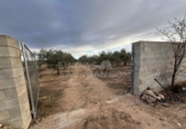 Rural estate for sale in Biar ref: TR202639 photo