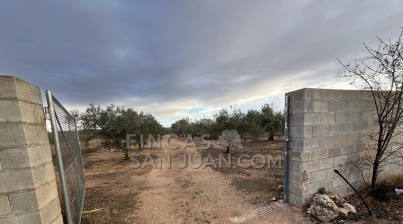 Alicante - Biar - 10275m2