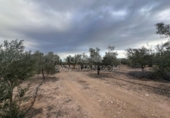 Rural estate for sale in Biar ref: TR202639 photo
