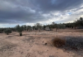 Rural estate for sale in Biar ref: TR202639 photo