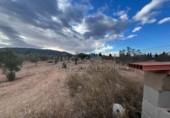 Rural estate for sale in Biar ref: TR202639 photo