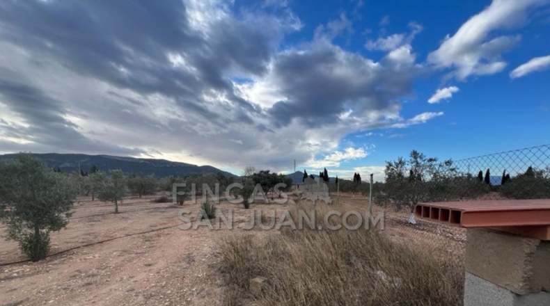 Alicante - Biar - 10275m2