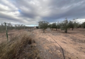 Rural estate for sale in Biar ref: TR202639 photo