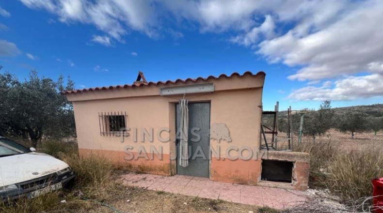 Alicante - Biar - 10275m2