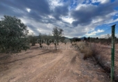 Rural estate for sale in Biar ref: TR202639 photo