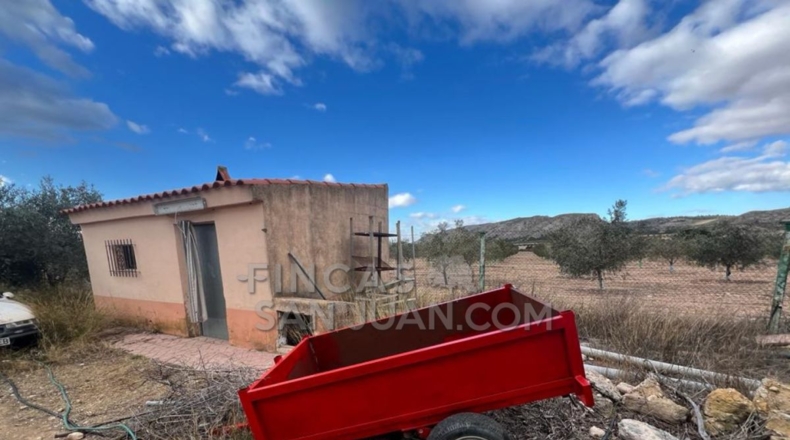 Alicante - Biar - 10275m2