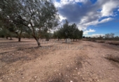 Rural estate for sale in Biar ref: TR202639 photo
