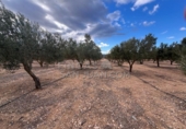 Rural estate for sale in Biar ref: TR202639 photo