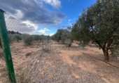Rural estate for sale in Biar ref: TR202639 photo