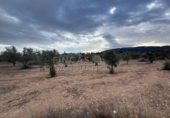 Rural estate for sale in Biar ref: TR202639 photo