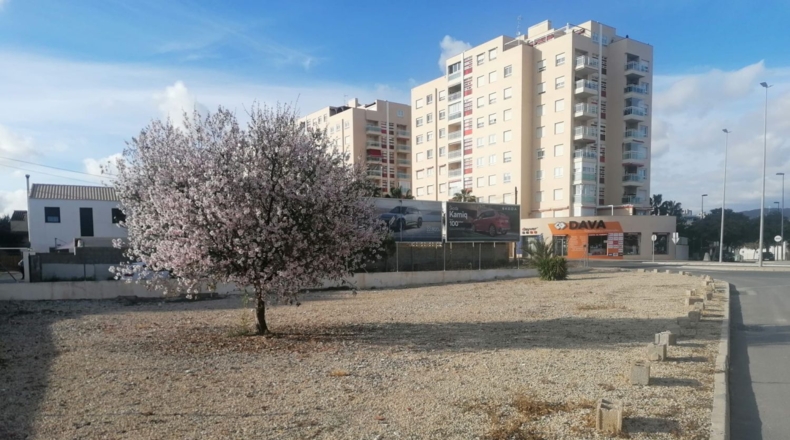 Аликанте - Campello - 500m2
