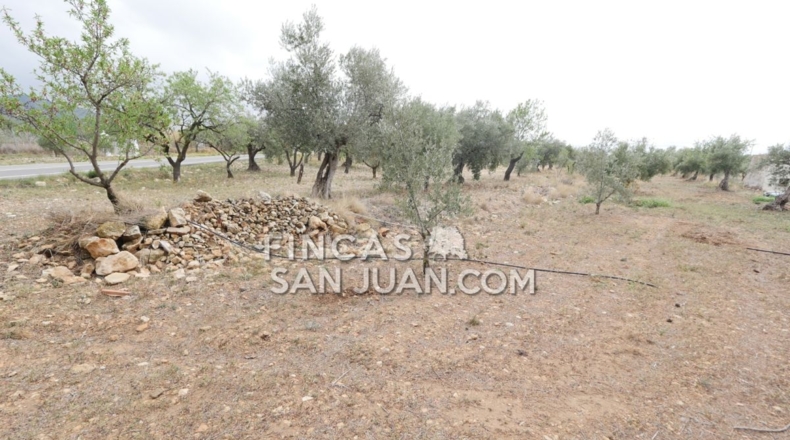 Alicante - Onil - 15388m2