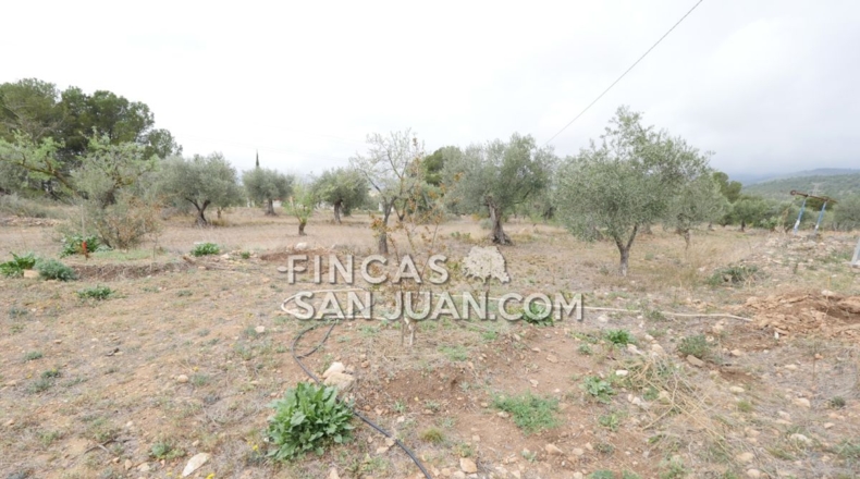 Alicante - Onil - 15388m2