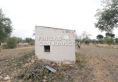Finca rústica en venda a Onil ref.: TR106703 foto
