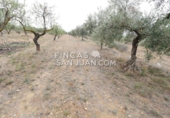 Finca rústica en venda a Onil ref.: TR106703 foto