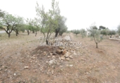 Finca rústica en venda a Onil ref.: TR106703 foto