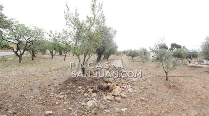 Alicante - Onil - 15388m2