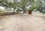 Finca rústica en venda a Onil ref.: TR106703 foto