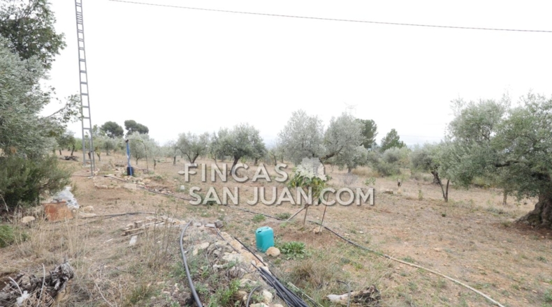 Alicante - Onil - 15388m2