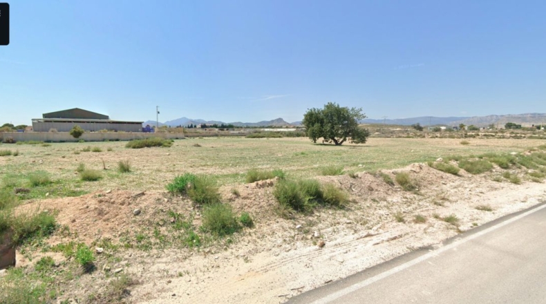 Alicante - Muchamiel - 11451m2