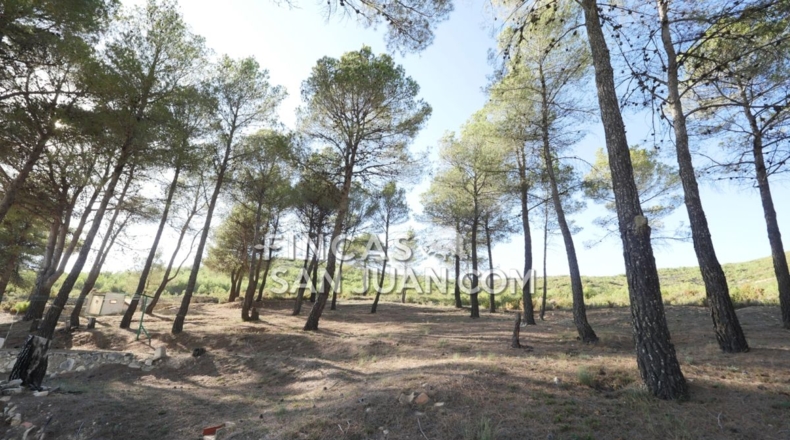 Alicante - Torremanzanas - 13230m2