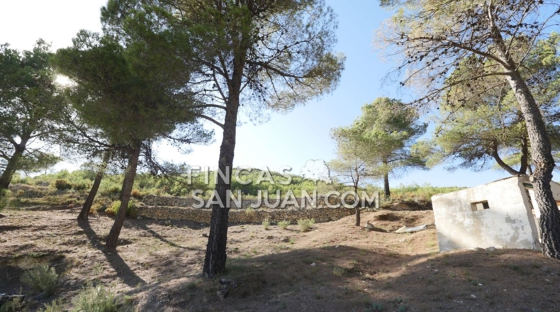 Alicante - Torremanzanas - 13230m2