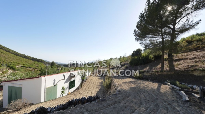 Alicante - Torremanzanas - 13230m2