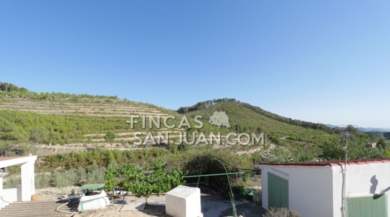 Alicante - Torremanzanas - 13230m2