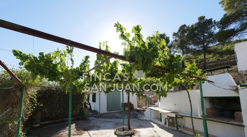 Alicante - Torremanzanas - 13230m2