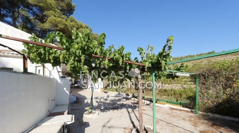 Alicante - Torremanzanas - 13230m2
