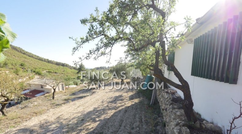 Alicante - Torremanzanas - 13230m2