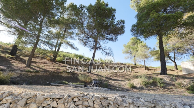 Alicante - Torremanzanas - 13230m2