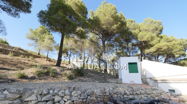 Alicante - Torremanzanas - 13230m2