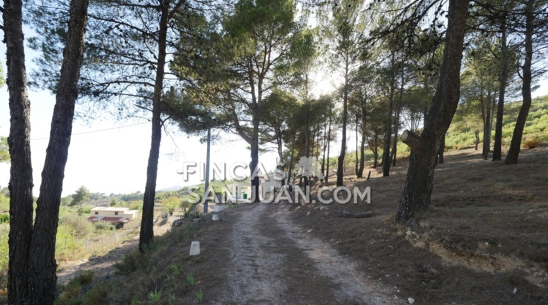 Alicante - Torremanzanas - 13230m2
