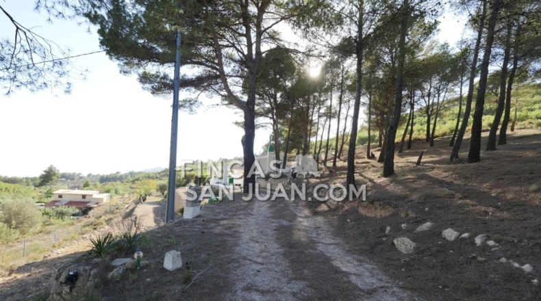 Alicante - Torremanzanas - 13230m2